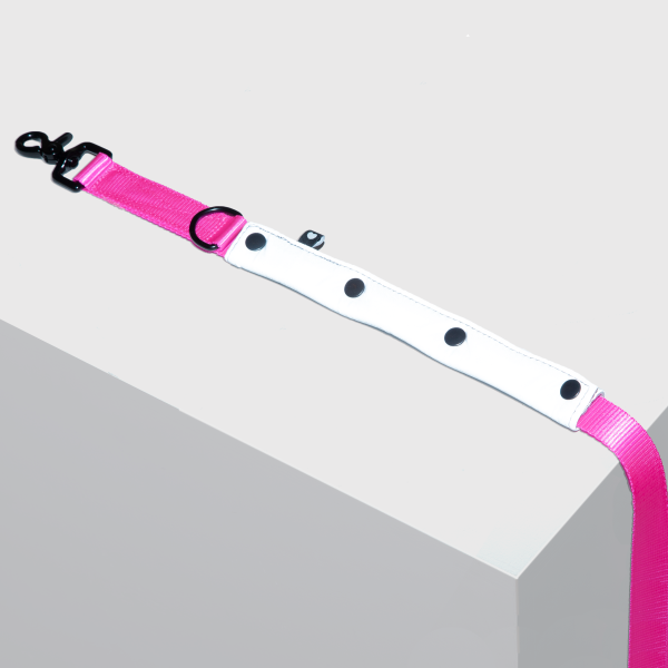 odblask na smycz | FLASH