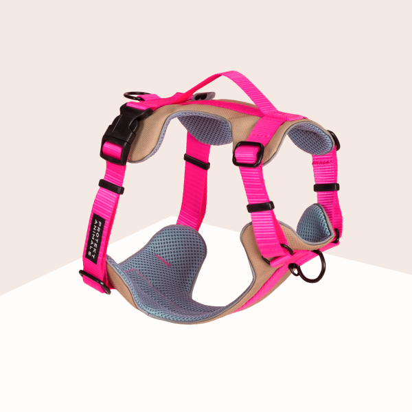 Szelki Soft |  Neon pink