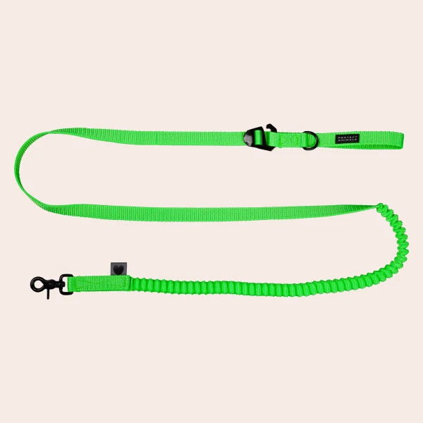 Smycz z amortyzatorem | Neon green