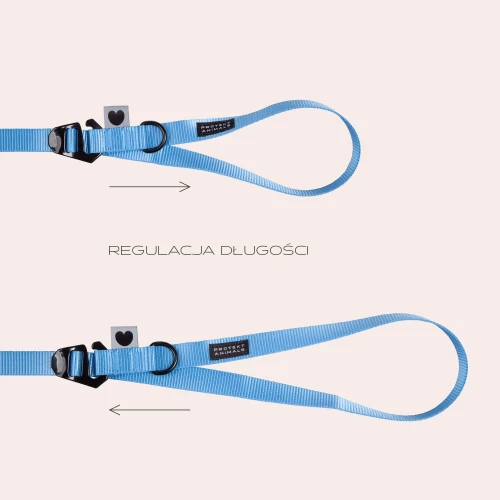 regulacja6a.jpg