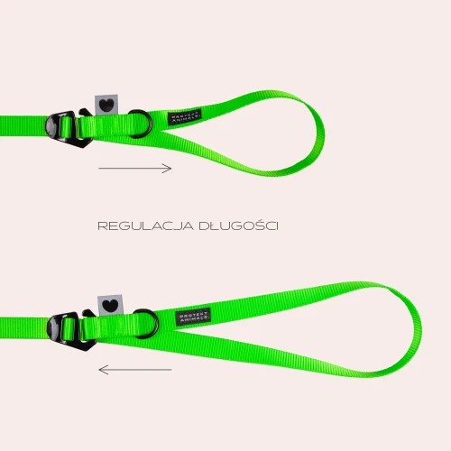regulacja5a.jpg