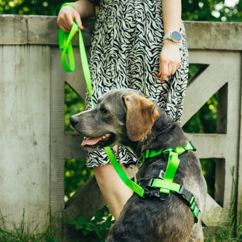 protekt_animals_plenershoot_0523-79_x.jpg