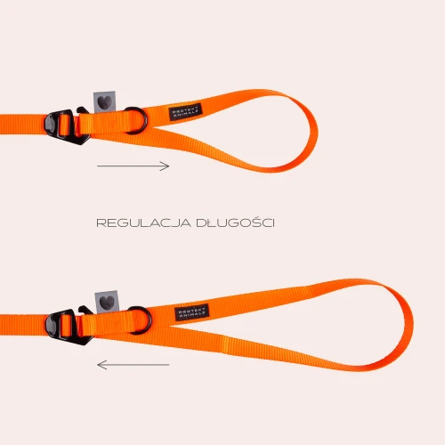 regulacja3a.jpg