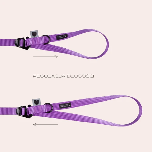 regulacja4a.jpg