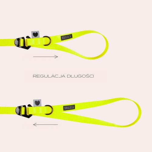 regulacja1a.jpg