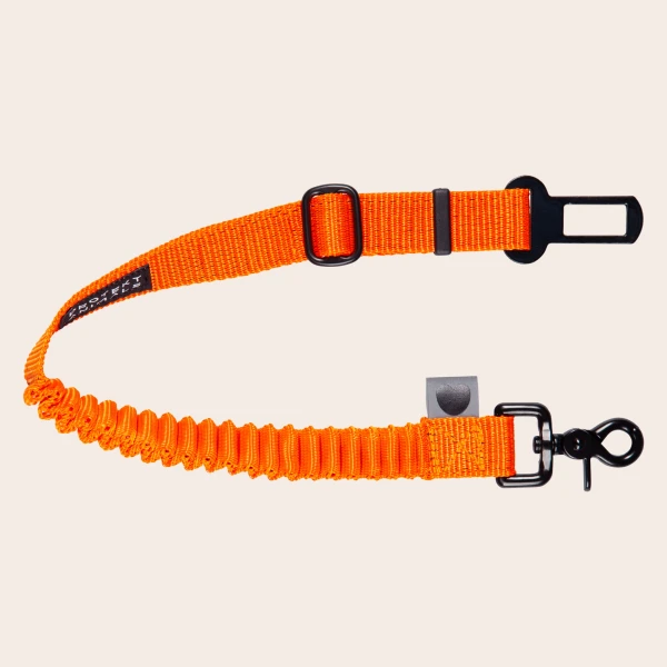 Pasy bezpieczeństwa dla psów z amortyzatorem | Neon orange