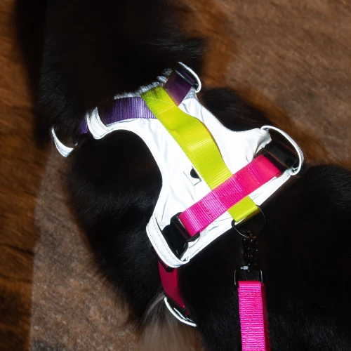 miekkie_bezuciskowe_szelki_z_poduszkami_dla_pupila_Protekt_animals.png