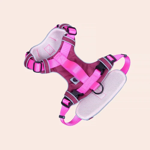 Protekt_Animals_szelki_soft_standard_neon_pink.webp