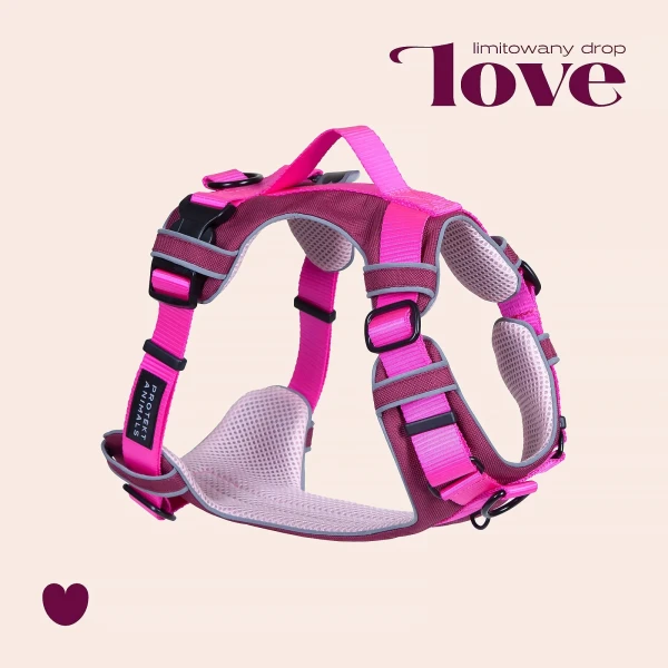 Szelki Soft Y Standard | LOVE