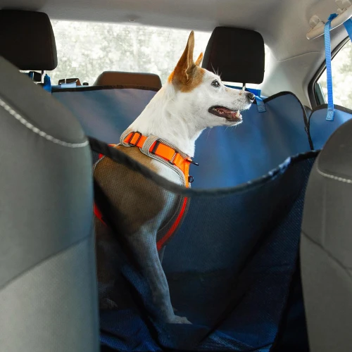 Niebieska_mata_podrozna_do_samochodu_na_wyjazd_z_psem_Protekt_Animals.webp