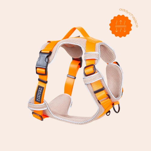 Szelki_soft_breath_pomaranczowe_dla_psa_na_spacer_w_lato.png