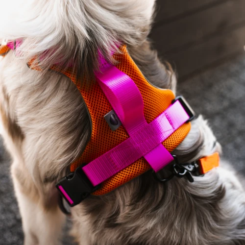 miekkie_bezuciskowe_szelki_z_poduszkami_dla_pupila_Protekt_animals.png