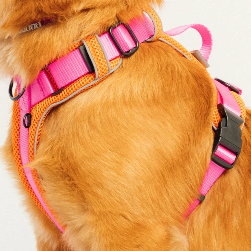 miekkie_bezuciskowe_szelki_z_poduszkami_dla_pupila_Protekt_animals.png