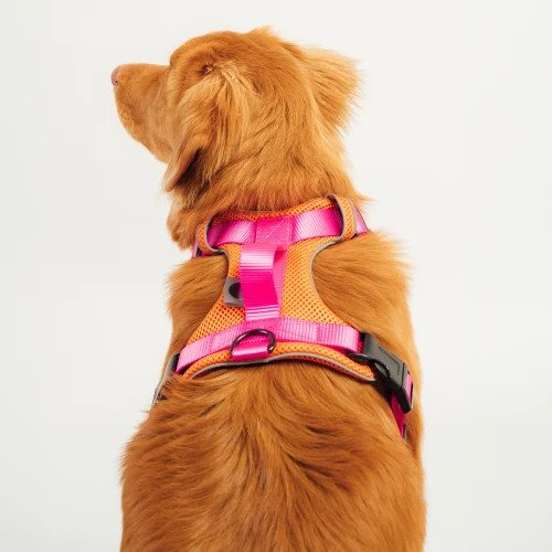 miekkie_bezuciskowe_szelki_z_poduszkami_dla_pupila_Protekt_animals.png