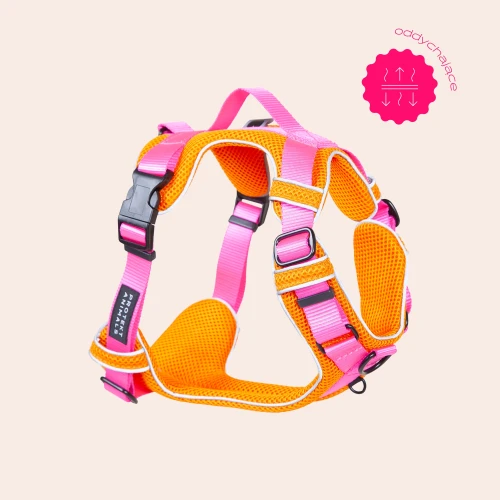 Protekt_Animals_szelki_na_spacer_dla_psa_breath_neonowe_kolory 2.png