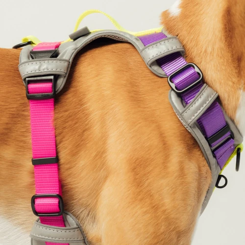miekkie_bezuciskowe_szelki_z_poduszkami_dla_pupila_Protekt_animals.png