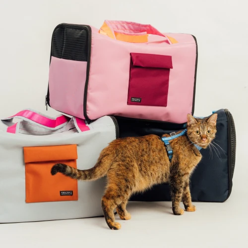 transporter_do_samolotu_dla_psa_lub_kota.webp