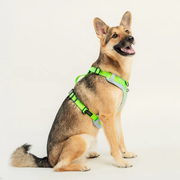 Szelki Soft Y Light |  Neon green