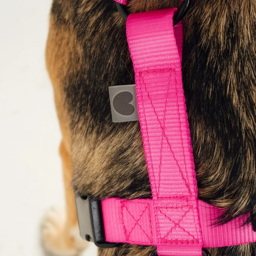 szelki typu guard | Neon pink