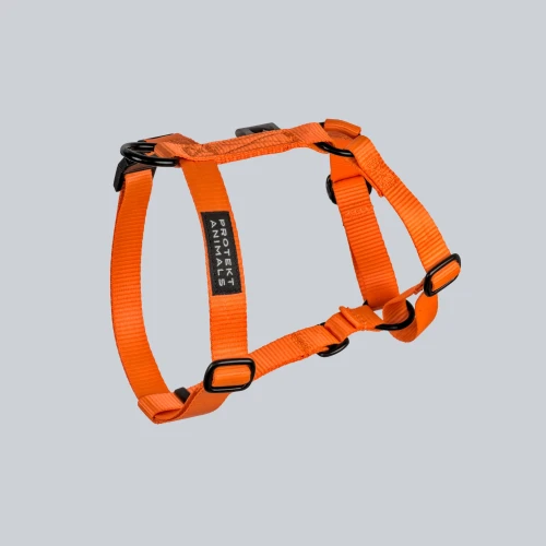 szelki typu guard | Neon orange