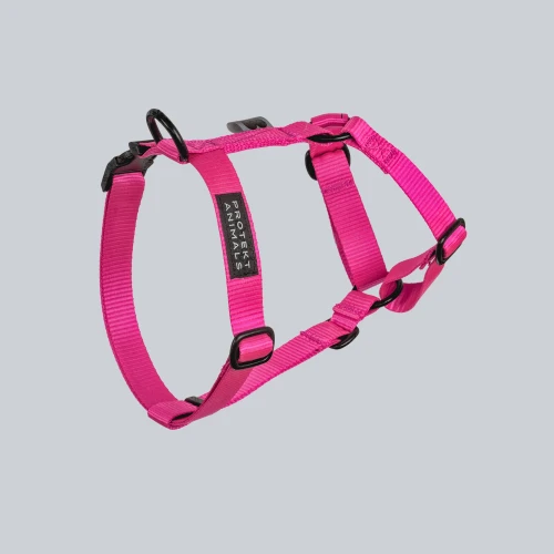 szelki typu guard | Neon pink