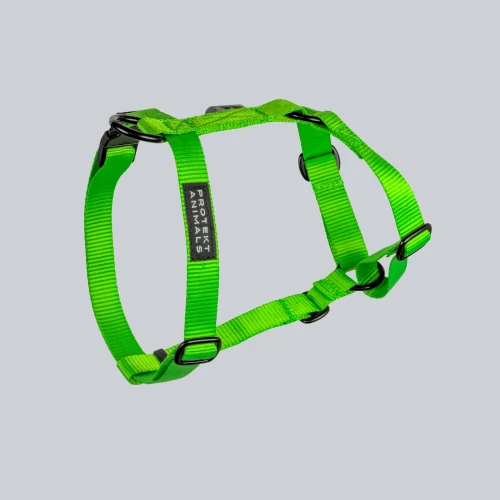 Szelki typu guard | Neon green