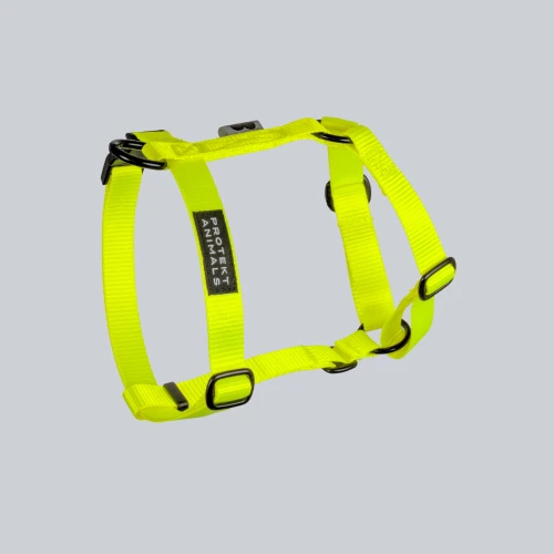 szelki typu guard | Neon yellow