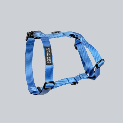 Szelki dla psa typu guard | Neon blue