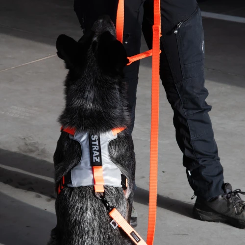 odblaskowe_szelki_soft_rescue_dla_psa_Protekt_Animals