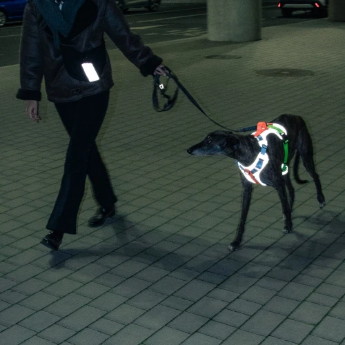 odblaskowe_szelki_protekt_animals_dla_psa.jpg