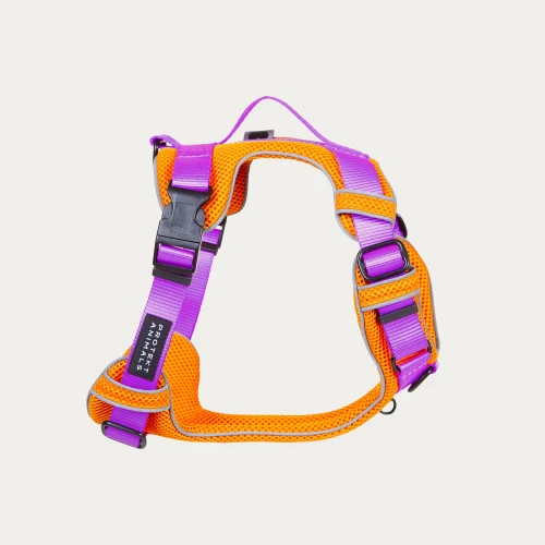 bezuciskowe_szelki_soft_breath_neon_purple_summer_Protekt_Animals.webp