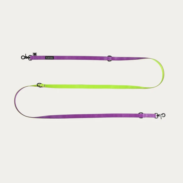 Smycz Duo  | purple - yellow