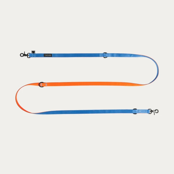 Smycz Duo  | blue - orange