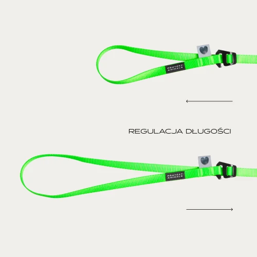 regulowana smycz mini dla kota w szelkach.png