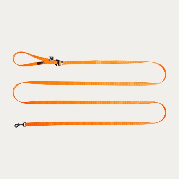 Smycz dla małego psa lub kota | Neon orange