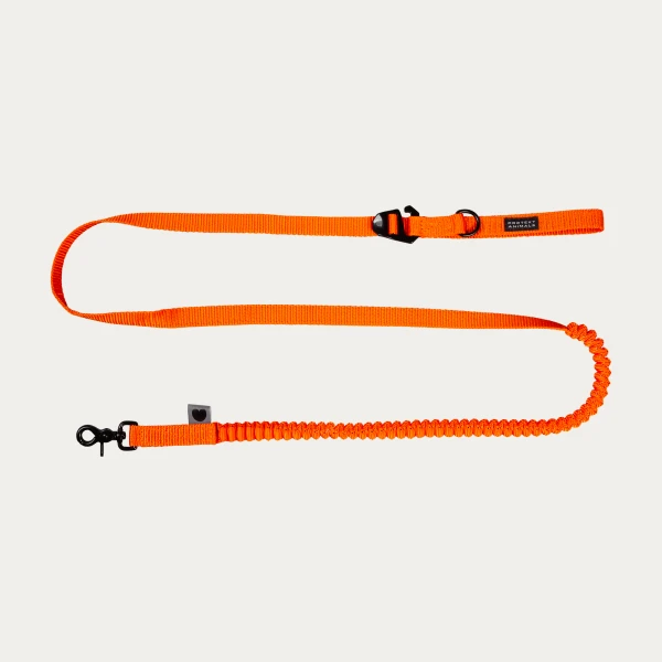 Smycz z amortyzatorem | Neon orange