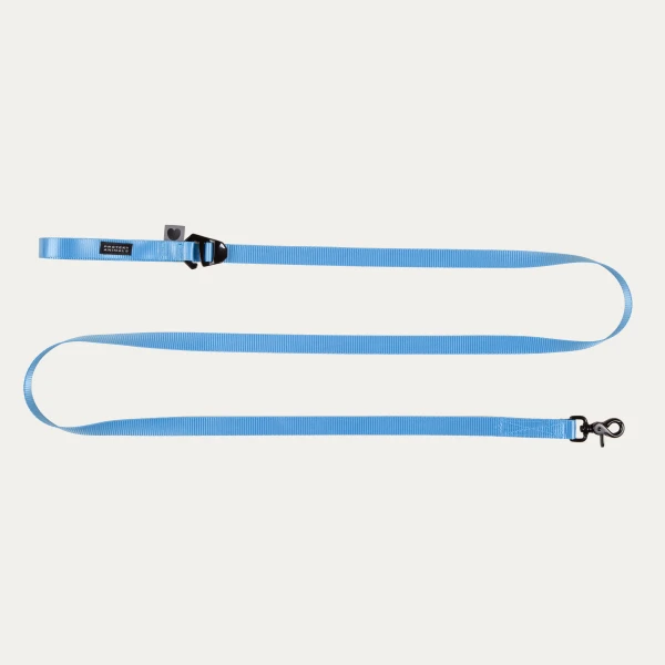Smycz z regulacją długości hands free | Neon blue