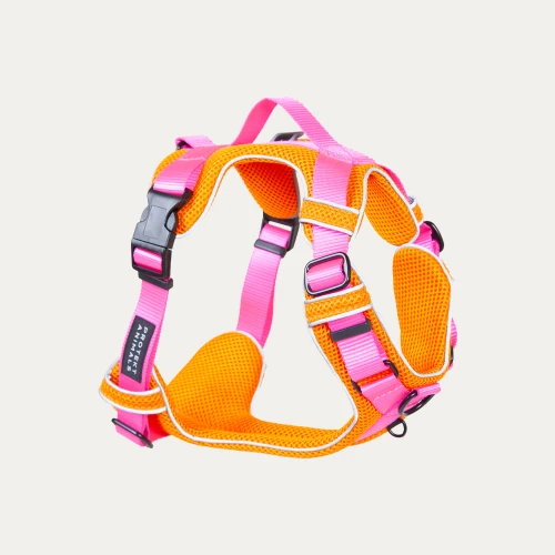 Protekt_Animals_szelki_na_spacer_dla_psa_breath_neonowe_kolory.png