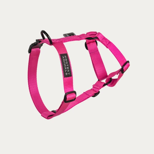 szelki typu guard neon pink.jpg