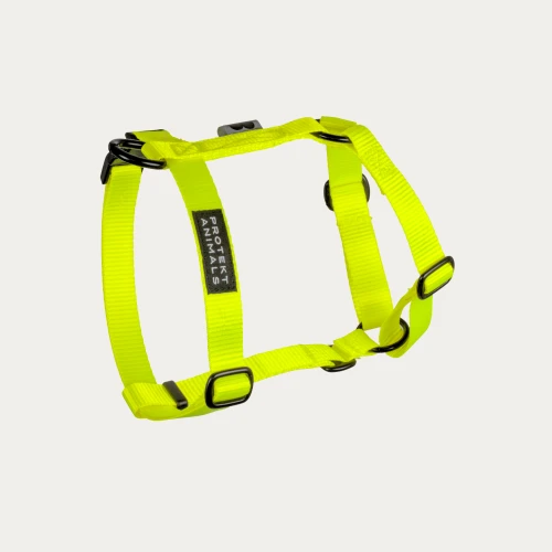 szelki typu guard yellow.jpg