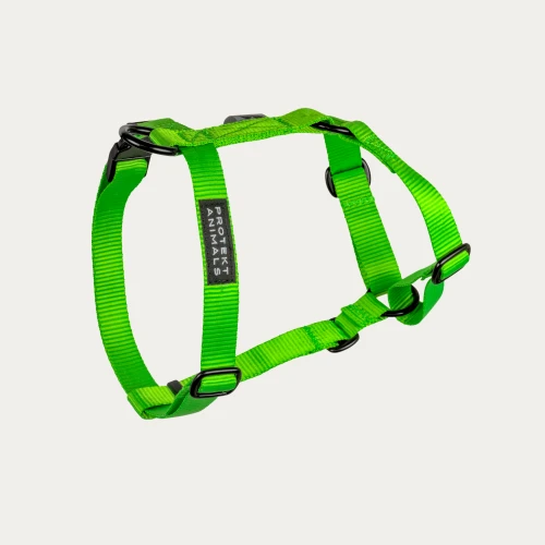 szelki guard neon green.jpg
