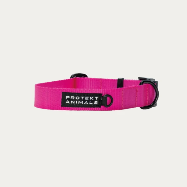 Obroża | Neon pink