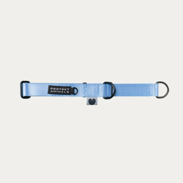Obroża półzaciskowa | Neon blue