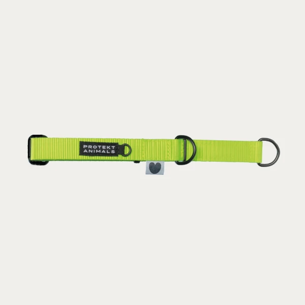 Obroża półzaciskowa | Neon green