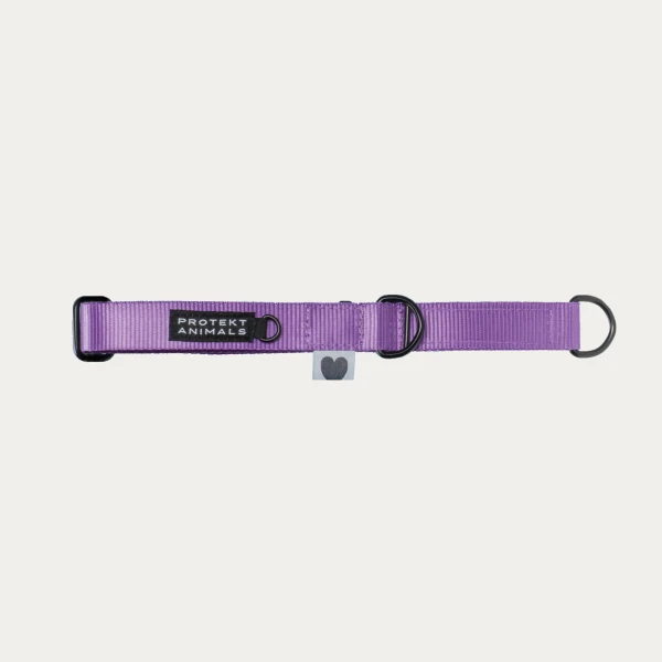 Obroża półzaciskowa | Neon purple