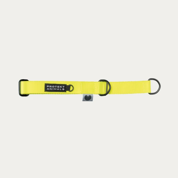 Obroża półzaciskowa | Neon yellow