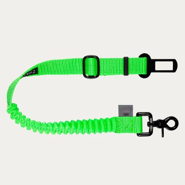 Pasy bezpieczeństwa dla psów z amortyzatorem | Neon green