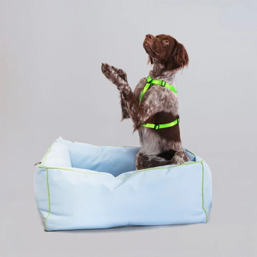 Legowisko dla psa rasy Spaniel - Protekt Animals