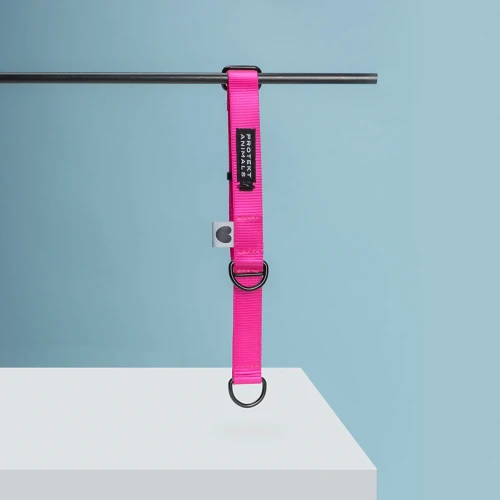 Obroża półzaciskowa dla psa -  Neon Pink | Protekt Animals