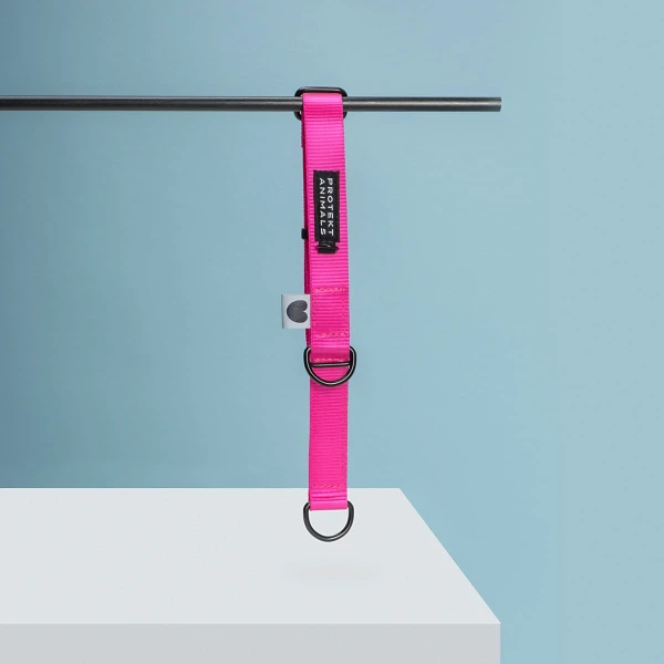 Obroża półzaciskowa | Neon pink